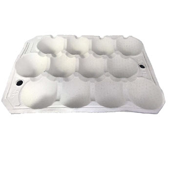 Image of Nutley's 12 Hole Biodegradable Apple Trays - Pack of 20