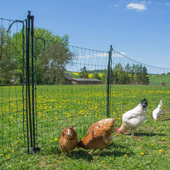 Image of Hotline Fencing 'Hot Gate' for 1.1m Standard Electric Poultry Netting