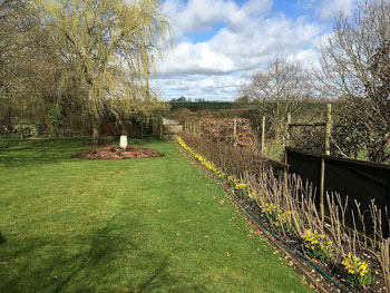 Image of 1-2ft Best Value Mixed Native Hedgerow Bare Root Plant Hedge Scheme