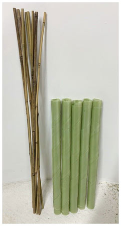Image of 50 Biodegradable Spiral Guards with Canes! Protect your trees and saplings