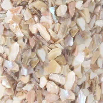 Image of Crushed Pearl Shells, Small Mixed Bag of Assorted Broken Shell Pieces - 700g