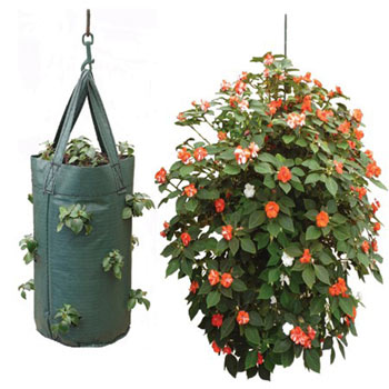 Image of Nutley's Hanging Tomato Planter Pouch - Pack of 5