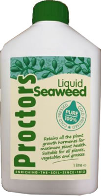 Image of Proctors Cold Pressed Seaweed Extract - 1 Litre Bottle of Concentrate