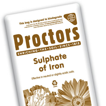 Image of Proctors Sulphate of Iron Traditional Weed and Moss Killer Lawn Control Additive - 20kg Sack