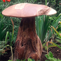 Small Image of Giant Mushroom
