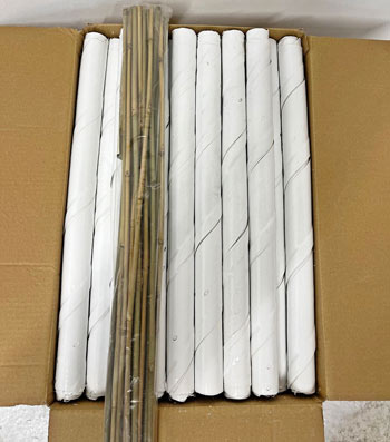 Image of 150 White Spiral Tree Guards with Canes - 60cm x 38mm