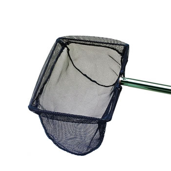 Image of Blagdon Small Pond Net Coarse