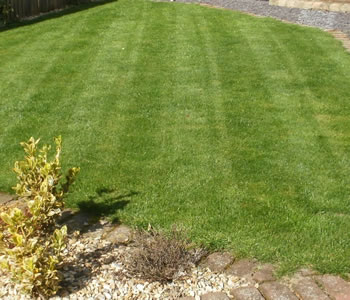 Image of 5kg sack of Fine Lawn Grass Seed, ideal for a front lawn