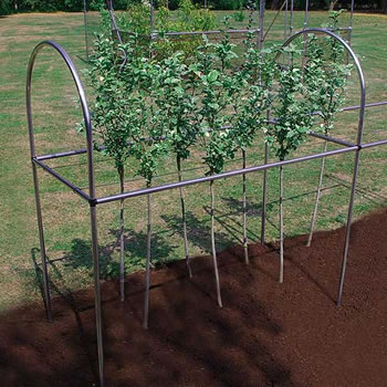 Image of Crop Support Frame - Pack of 2