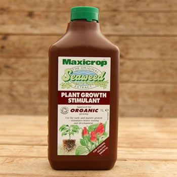 Image of Maxicrop Original Seaweed Extract - 1 Litre (POPGS61L)