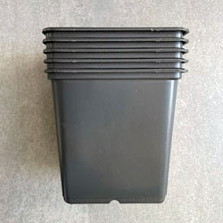 Image of 11cm Square Black Plant Pots (Pack of 5)