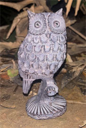 Extra image of Little Owl Garden Ornament