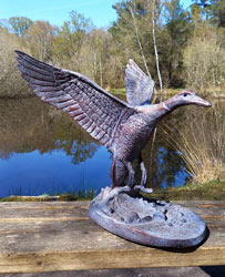Extra image of Flying Duck Garden Sculpture
