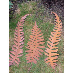 Extra image of Set Of 3 Rustic Giant Fern Wall Art Sculptures
