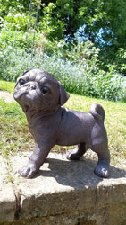Extra image of Pug Dog Sculpture Figurine