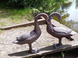 Extra image of Pair of Geese Sculptures - Hand Cast from High-Grade Aluminium