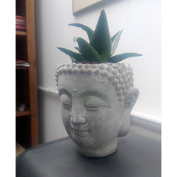 Extra image of Buddha Head Planter - Stone Effect