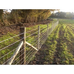 Small Image of 25m Roll of C8/80/15 Stock Fencing