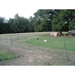 Extra image of 25m Poultry Electric Fence Kit