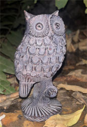 Extra image of Little Owl Garden Ornament