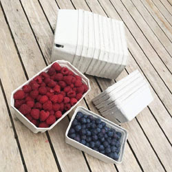 Extra image of Nutley's 250g Biodegradable Fruit Punnets - Quantity: 50