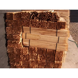 Small Image of 25x 90cm (3ft) Tall Treated Square Garden Stakes