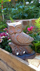 Extra image of Small Owl on Oak Branch Figurine