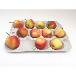 Extra image of Nutley's 12 Hole Biodegradable Apple Trays - Pack of 20
