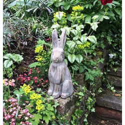 Extra image of Large Hare Sculpture - Stone Effect