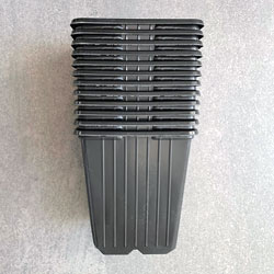 Image of 9cm Square Black Plant Pots (Pack of 12)