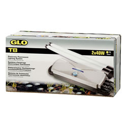 Small Image of 40W GLO T8 Electronic Ballast Double