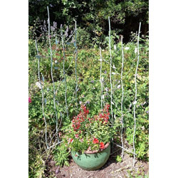 Extra image of Pair Of Verdigris Bird And Leaf Trellis Plant Support Panels