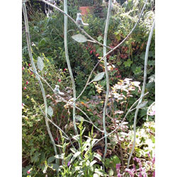 Extra image of Pair Of Verdigris Bird And Leaf Trellis Plant Support Panels