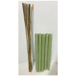 Small Image of 150 Biodegradable Spiral Guards with Canes! Protect your trees and saplings