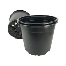 Small Image of Nutley's 19cm 3 Litre Round Plastic Plant Pot - Pack Quantity: 10