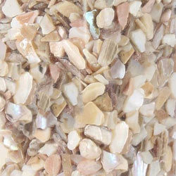 Small Image of Crushed Pearl Shells Small Mixed Assorted Broken Shell Pieces, 700g