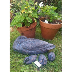 Extra image of Duck and Three Ducklings Garden Ornaments
