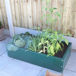 Small Image of Everlasting Plain Raised Bed 100cm Long x 50cm Wide