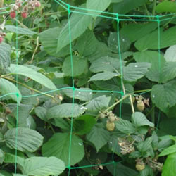 Small Image of Metre of Pigeon Netting