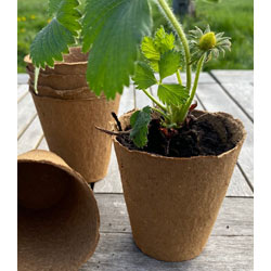 Extra image of Nutley's 8cm Biodegradeable Organic Wood Fibre Plantable Plant Pots - Pack quantity: 20