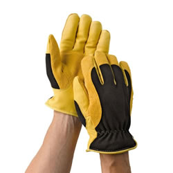 Small Image of Gold Leaf Winter Touch Gloves Ladies