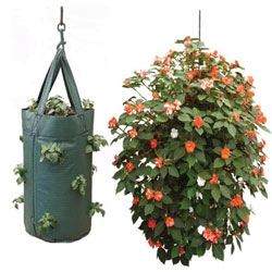 Small Image of Nutley's Hanging Tomato Planter Pouch