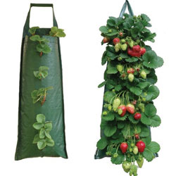 Small Image of Nutley's Hanging Strawberry Flower Bag - Pack of 5
