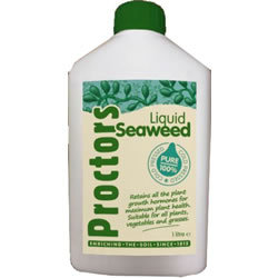 Small Image of Proctors Cold Pressed Seaweed Extract - 1 Litre Bottle of Concentrate