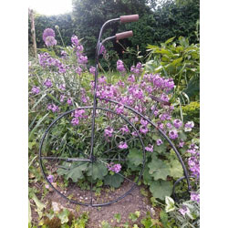 Extra image of Large (70cm tall) Metal Penny Farthing Bicycle Wall/Garden Art
