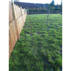 Extra image of Pair Of Giant Leaves Border Stakes In Sturdy Metal - 150cm