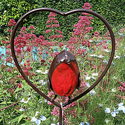 Image of Red Robin in a Heart Garden Plant Stake - 1m Tall