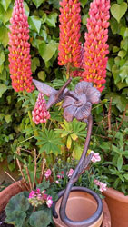 Extra image of Hummingbird Garden Sculpture