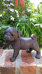 Extra image of Pug Dog Sculpture Figurine