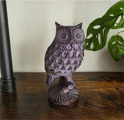Image of Little Owl Garden Ornament